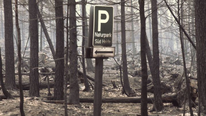 Waldbrände in Niedersachsen 1975