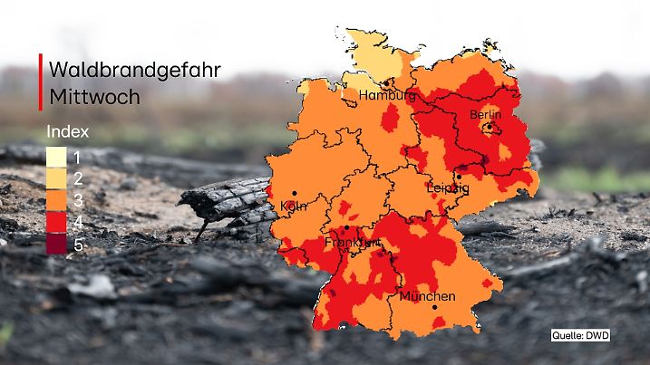 Die Waldbrandgefahr steigt.