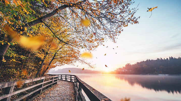 Vom Sauerland und der Eifel bis ins Erz- und Fichtelgebirge ist es zunächst stark bewölkt und es können ein paar Tropfen fallen, während sich im Norden und Osten neben lockeren Wolken Sonnenschein ausbreitet.