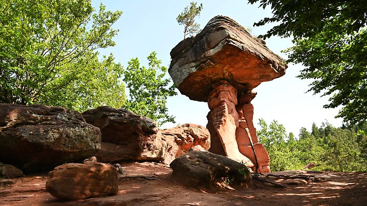 Der Pfaelzer Wald 2019 DEU Deutschland Hauenstein Der Pfaelzer Wald von der UNESCO 1992 wegen s