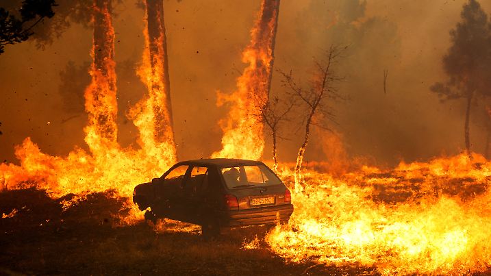 Waldbrand in Portugal