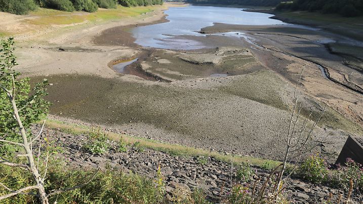 Anhaltende Trockenheit: Gras wächst in Stauseen und Kanälen in Lancashire