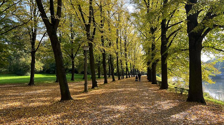 Warme Herbsttage im goldenen Oktober - Vöxe + Schnittbilder: Setx