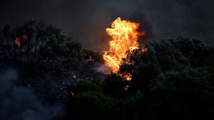 Waldbrand verbrennt Häuser und Fabriken und zwingt zu Evakuierungen in der Nähe von Patras