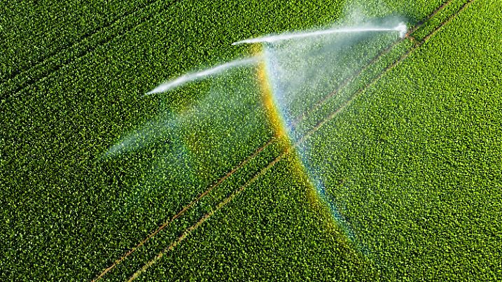 Hitze in Niedersachsen - Landkreis Peine