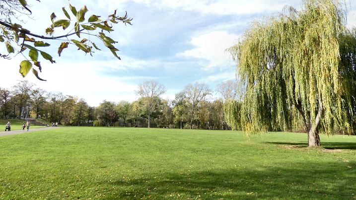 Ziegelwiese Halle an der Saale