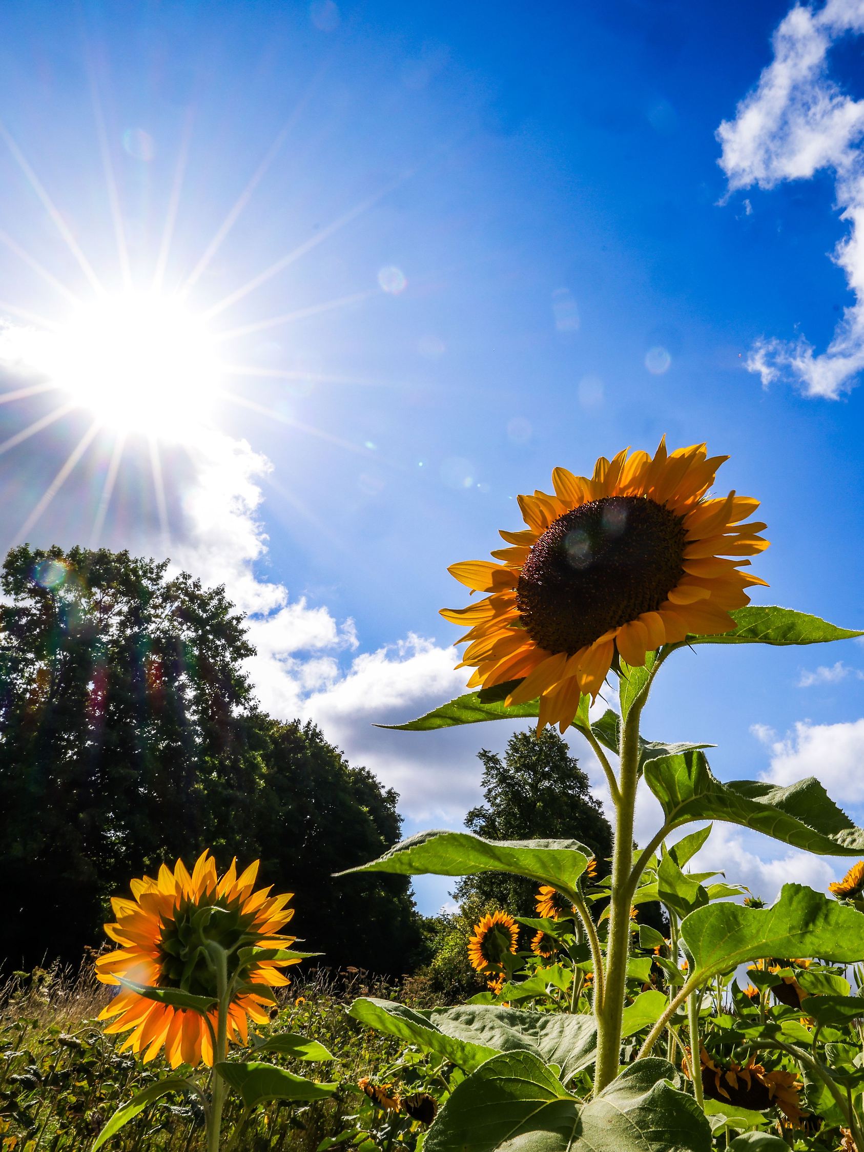 Wetter in NRW