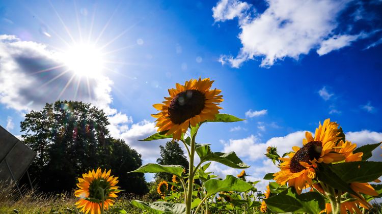 Wochenende wieder mit bis zu 30 Grad
