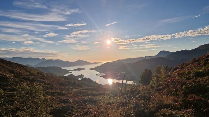 Lila blühende Heide in der August-Abendsonne nahe des Westkaps von Norwegen am Nordfjord.