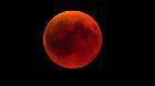 Totale Mondfinsternis über Halle Halle Saale Sachsen Anhalt Deutschland *** Total lunar eclipse ov
