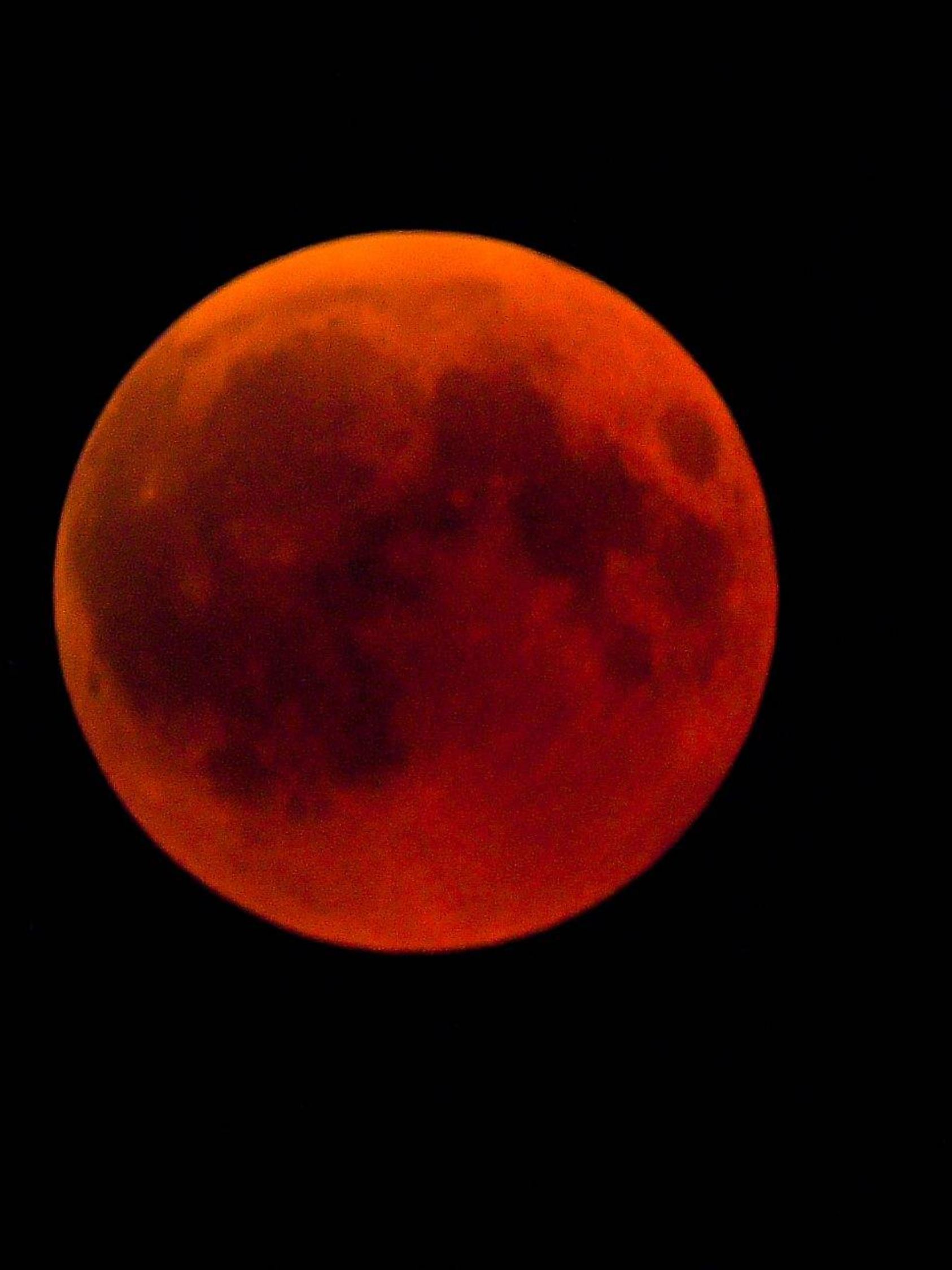 Totale Mondfinsternis über Halle Halle Saale Sachsen Anhalt Deutschland *** Total lunar eclipse ov