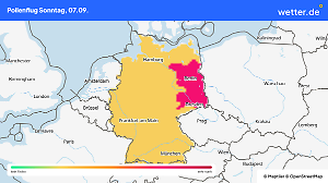 Die Ambrosia-Pollen fliegen im Osten heute besonders stark.