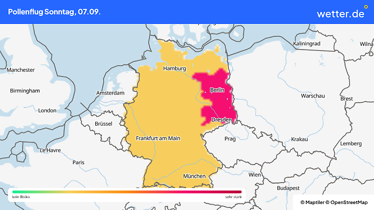 Die Ambrosia-Pollen fliegen im Osten heute besonders stark.