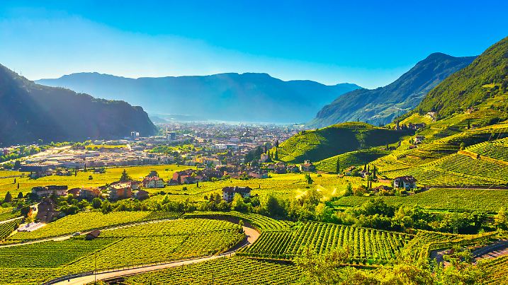 Vineyards view in Santa Maddalena Rencio Bolzano. Trentino Alto Adige Sud Tyrol, Italy, Europe.