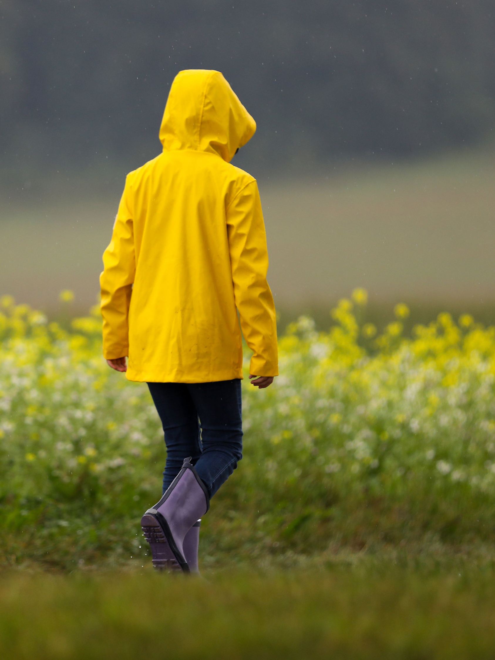 Wetter in Baden-Württemberg