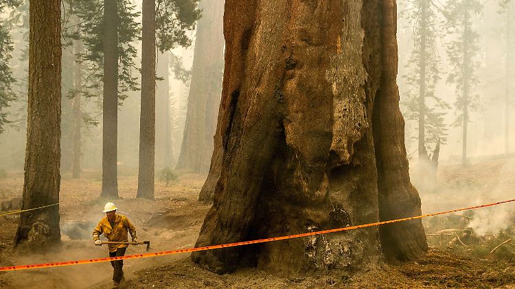 APTOPIX Extreme Weather California Wildfires