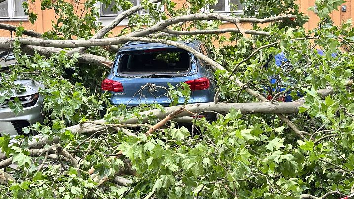 Sturmschäden nach Umwetter