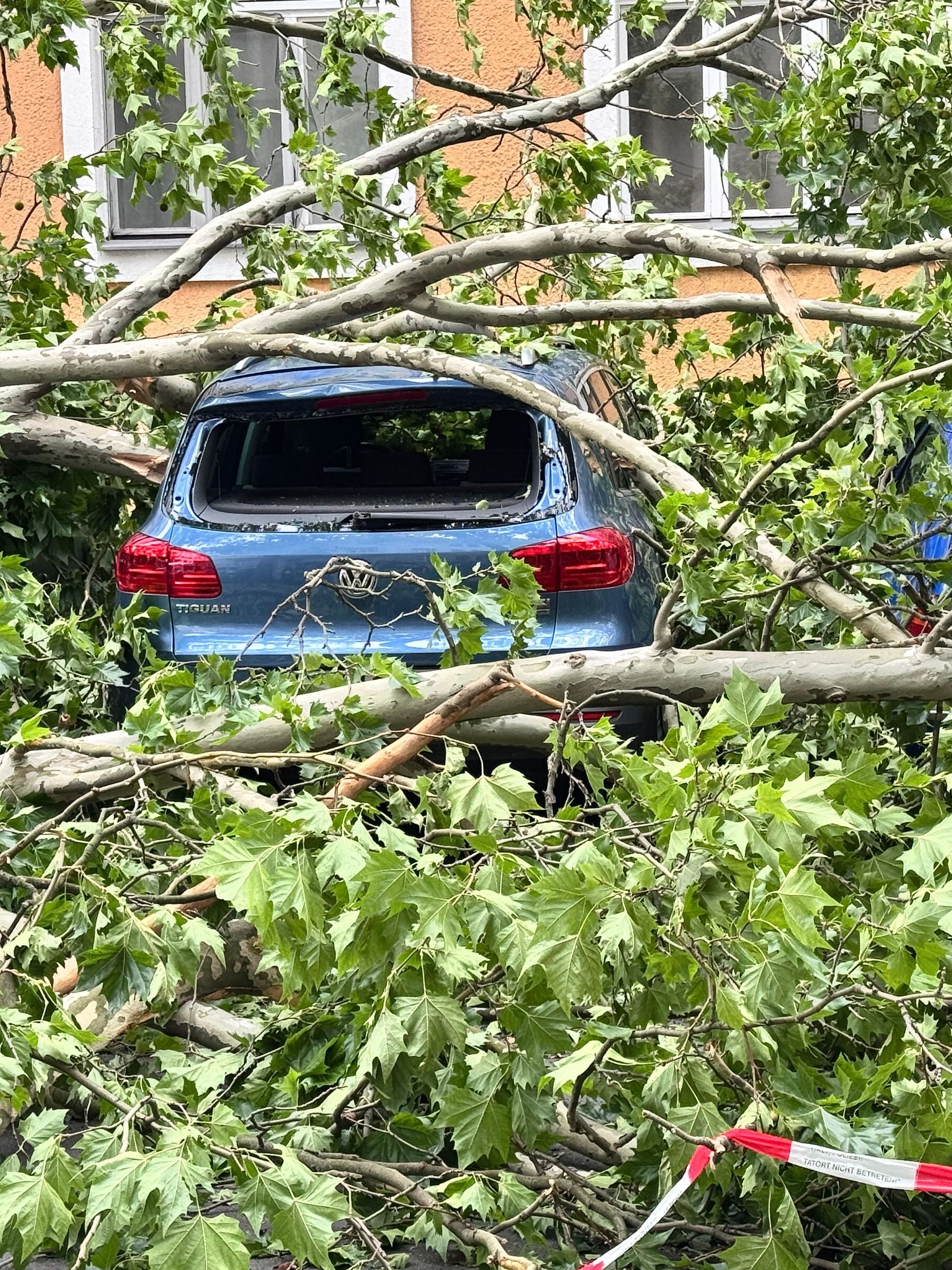 Sturmschäden nach Umwetter