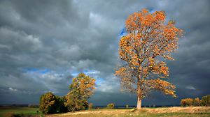 Herbststurm mit ordentlich Wind.