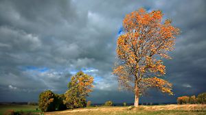 Herbststurm mit ordentlich Wind.