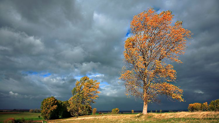 Herbststurm mit ordentlich Wind.