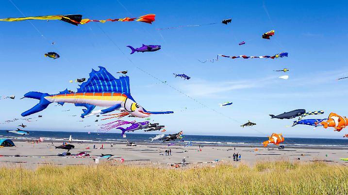 Internationales Drachenfestival in Washington State