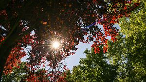 Sonnenschein im Park von Schloss Biesdorf