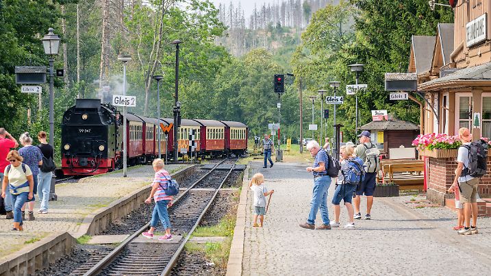 drei annen Hohne, Germany – August 30, 2024: A steam train of the German Brockenbahn is arriving at the station of drei annen Hohne in the summer. It is part of the Harzer schmalspurbahn.