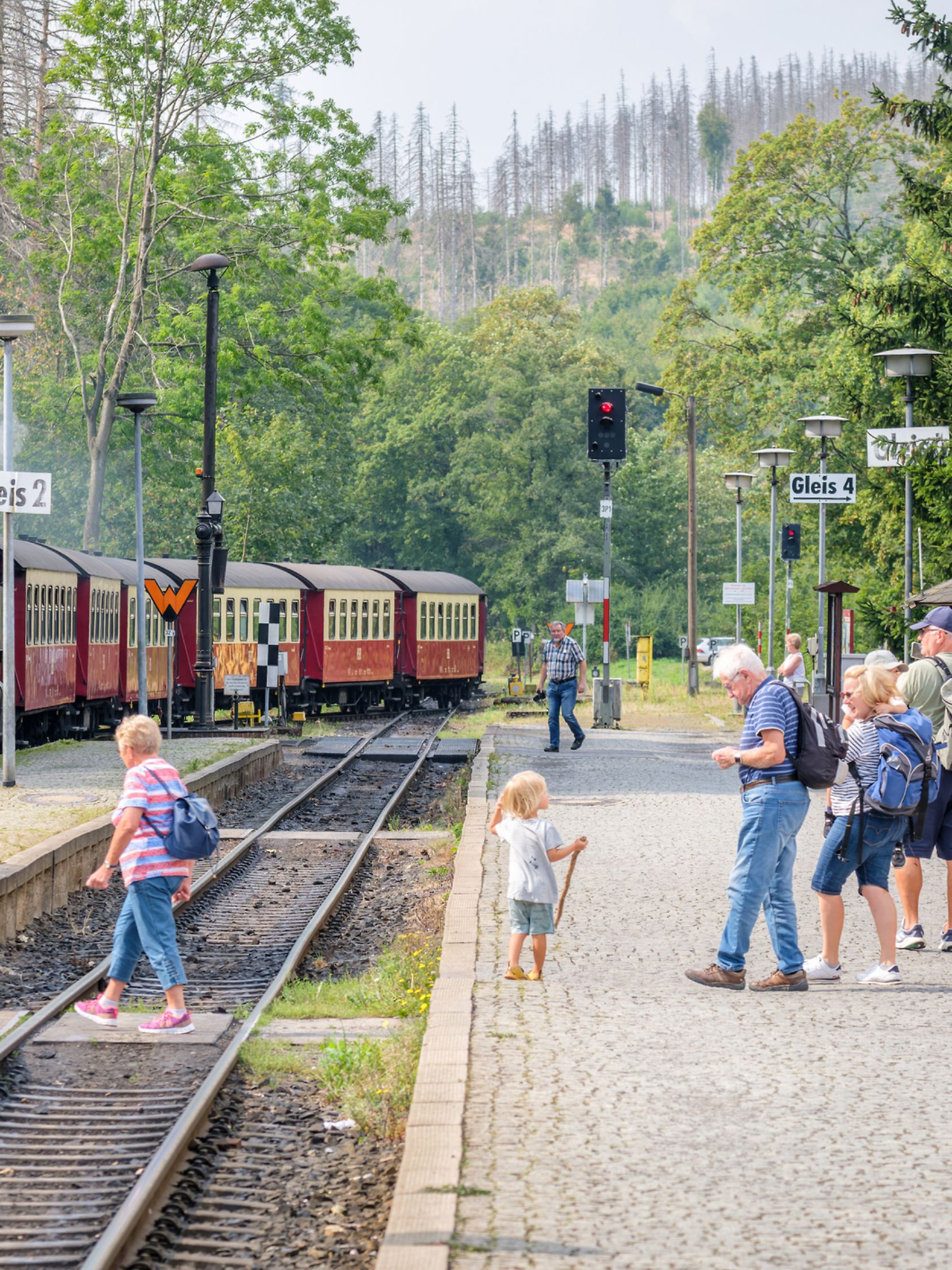 drei annen Hohne, Germany – August 30, 2024: A steam train of the German Brockenbahn is arriving at the station of drei annen Hohne in the summer. It is part of the Harzer schmalspurbahn.