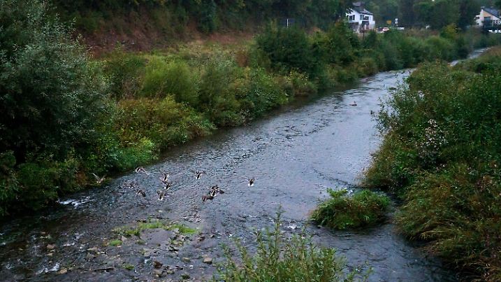 Starkregen in Rheinland-Pfalz