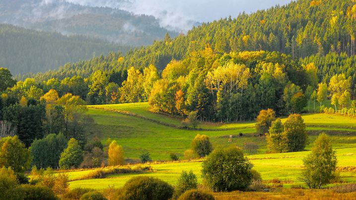 Camera: Canon EOS 1D - Sensor 8MP / Location: Bavaria, Germany