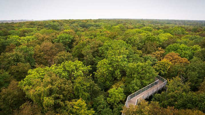 The Hainich National Park, National park in Thuringia, Germany