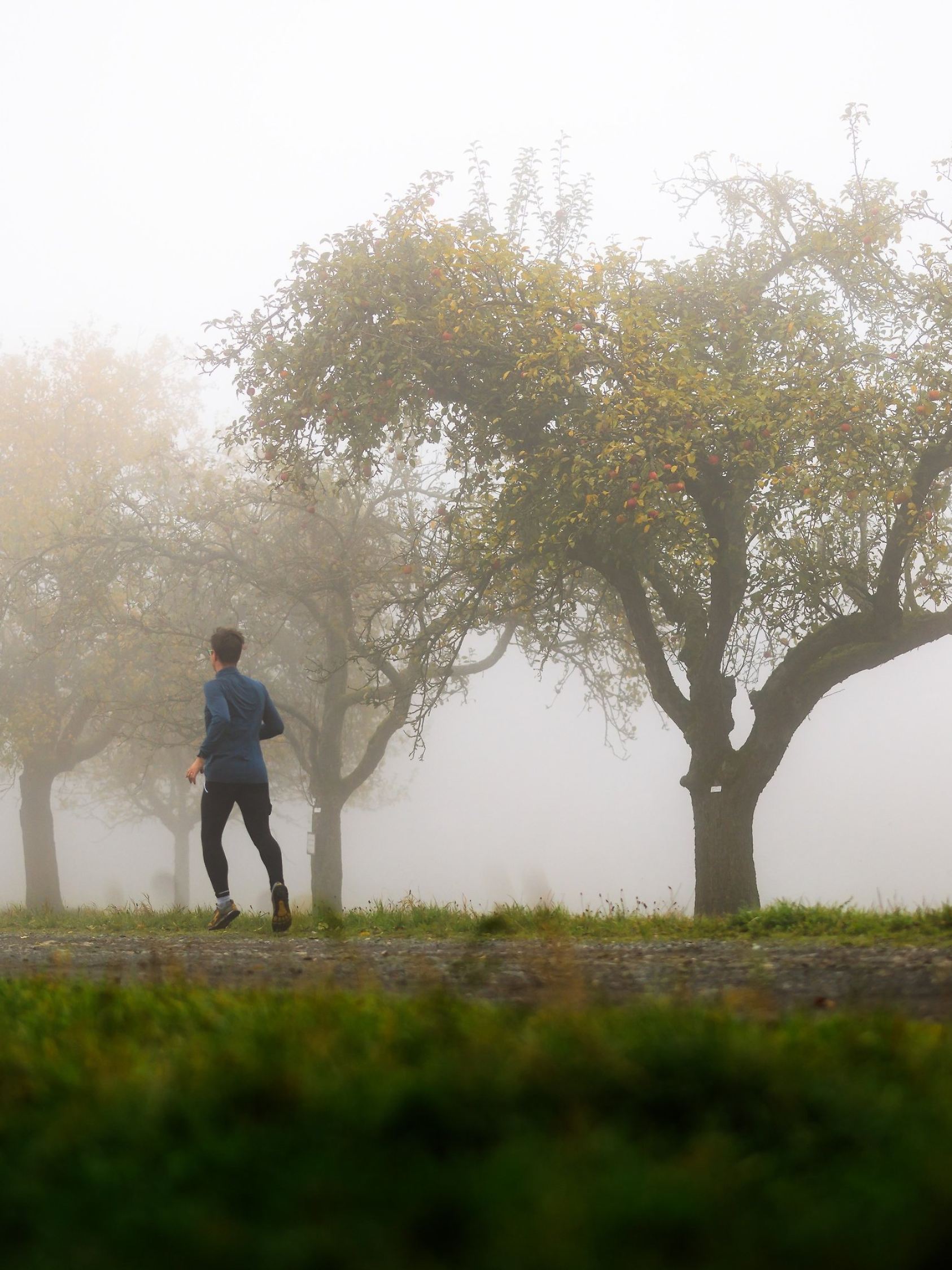 Nebel in Hessen