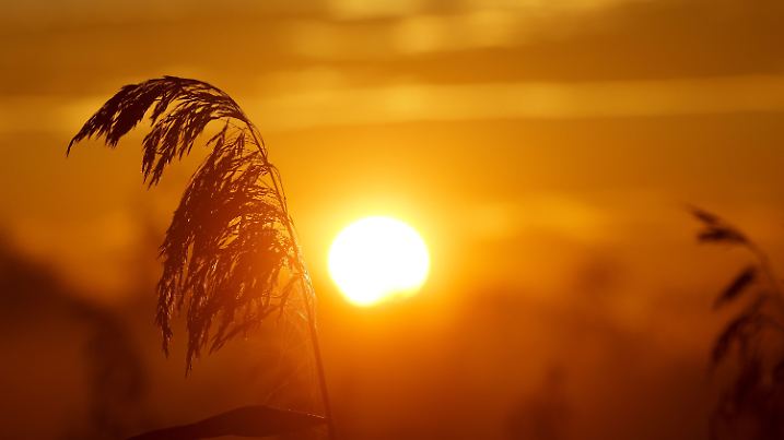 Wetter in Baden-Württemberg
