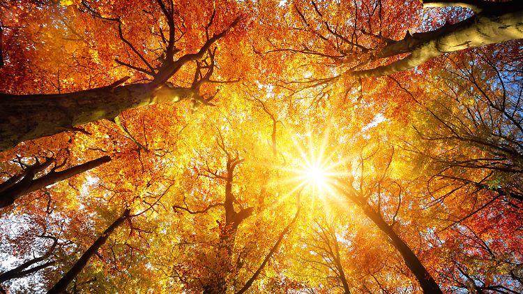 Dieser November hatte mehr etwas von einem Goldenen Oktober.