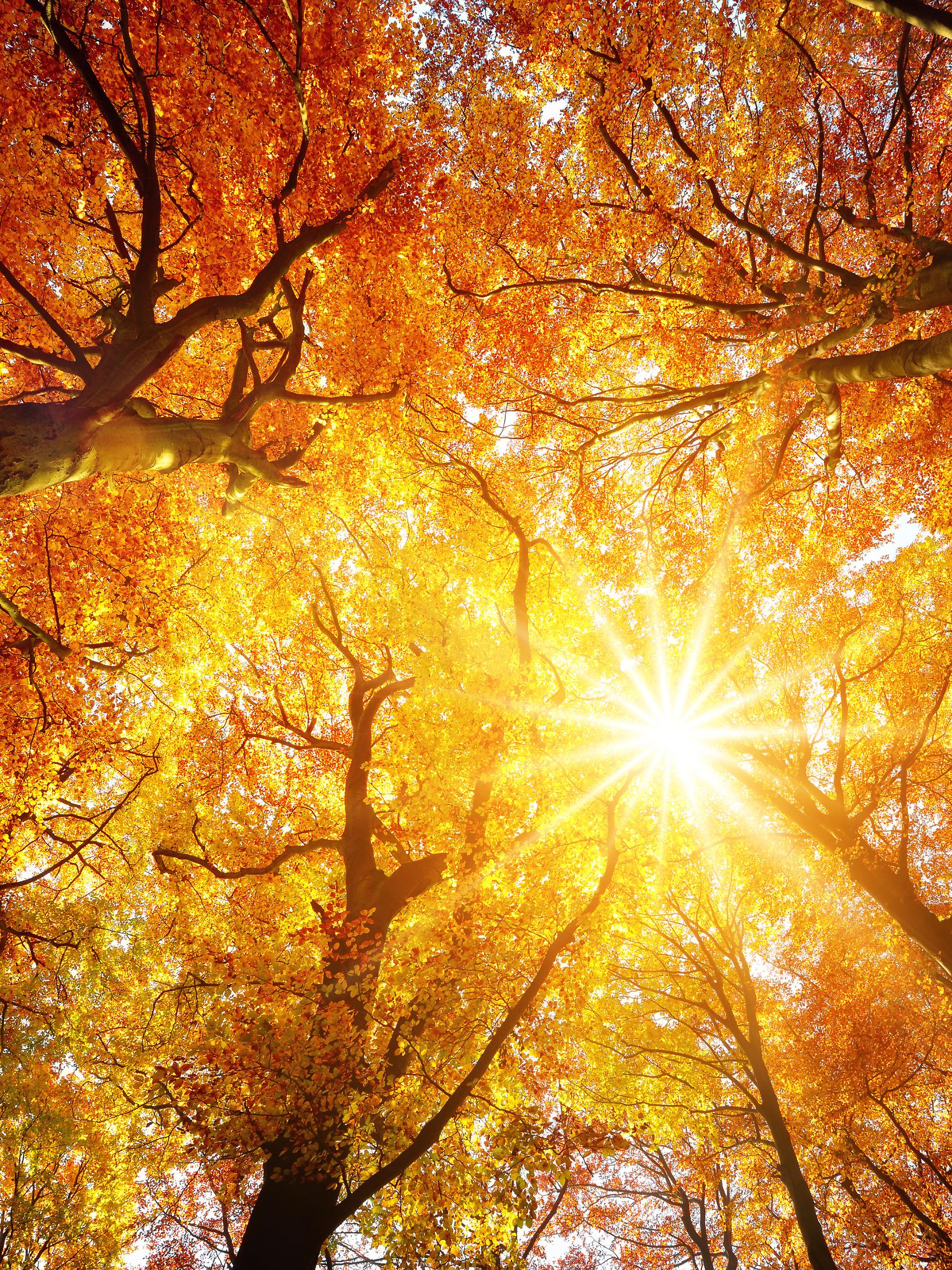 Dieser November hatte mehr etwas von einem Goldenen Oktober.