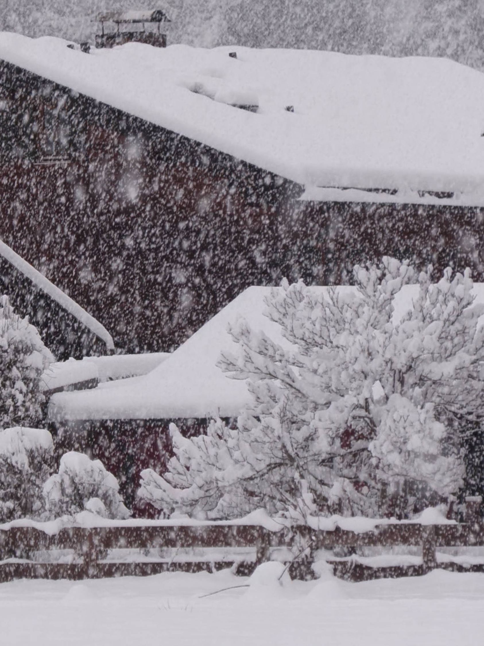 Diesmal pünktlich zu Weihnachten erleben viele Menschen in den Alpen Weiße Weihnachten. Im Gegensatz zu den letzten Jahr