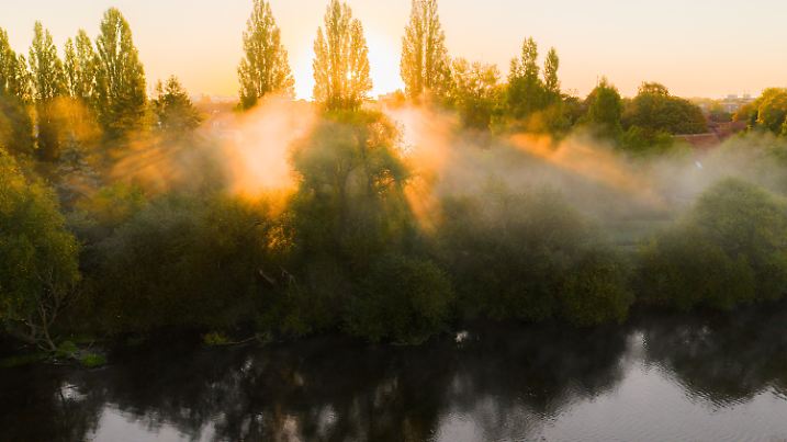Magischer Nebelmorgen im Herbst