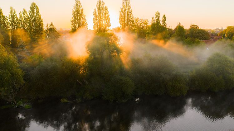 Magischer Nebelmorgen im Herbst