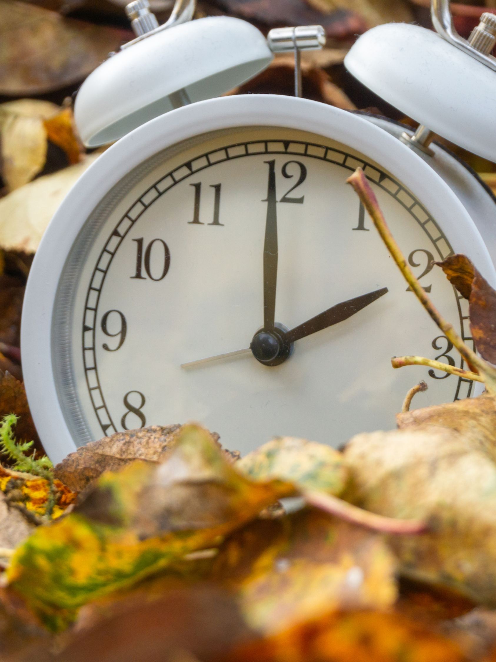 Zeitumstellung: So läuft es im Herbst