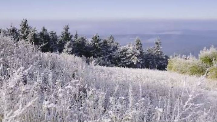 Herbstschnee02