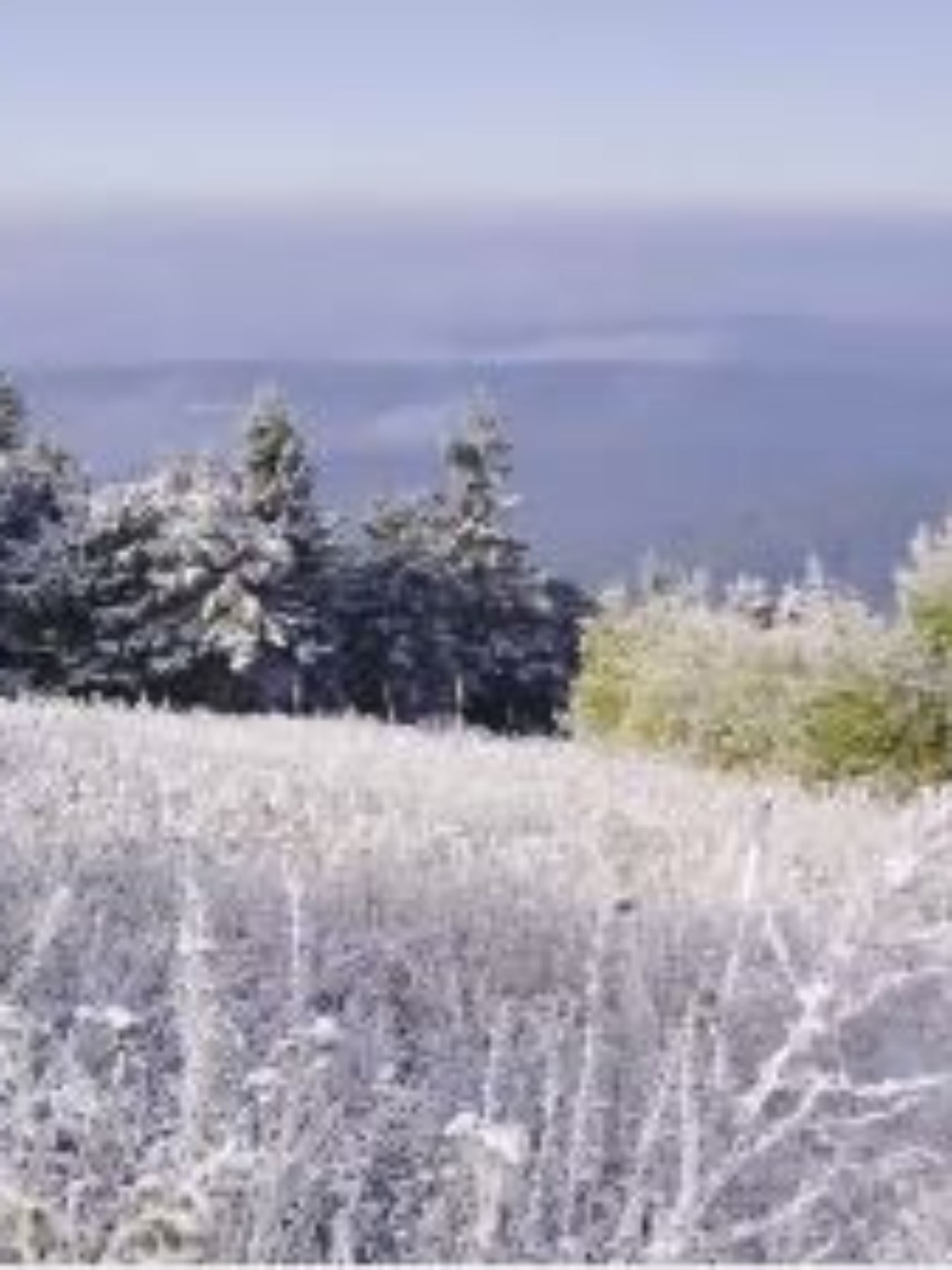 Herbstschnee02