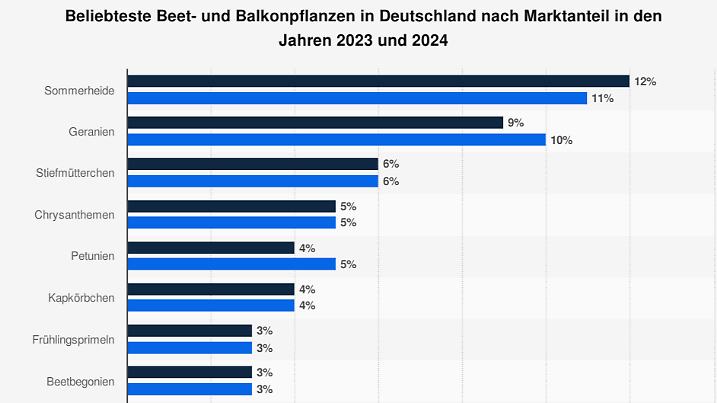 Die Statistik zeigt die zehn beliebtesten Beet- und Balkonpflanzen in Deutschland nach Marktanteil in den Jahren 2023 und 2024. Die iGeranie kam im Jahr 2023 auf einen Marktanteil von rund 10 Prozent, im Jahr 2024 auf 9 Prozent an den Ausgaben für Beet- und Balkonpflanzen.