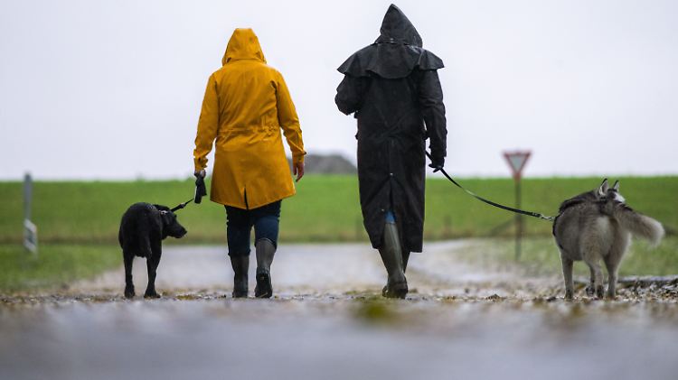 Gassigehen bei Sturm
