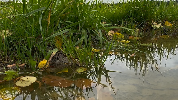 Trübes Herbstwetter, teils mit kräftigem Regen