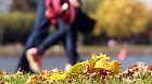 News Bilder des Tages Goldener Oktober in Frankfurt, Hessen, Deutschland: die warmen Temperaturen und der Sonnenschein l
