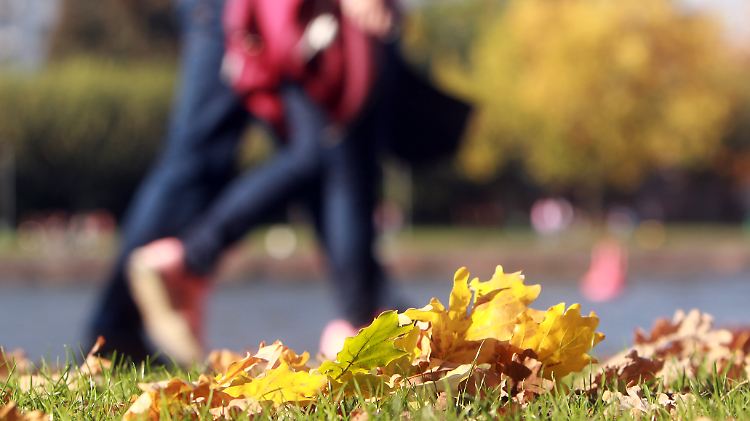 News Bilder des Tages Goldener Oktober in Frankfurt, Hessen, Deutschland: die warmen Temperaturen und der Sonnenschein l