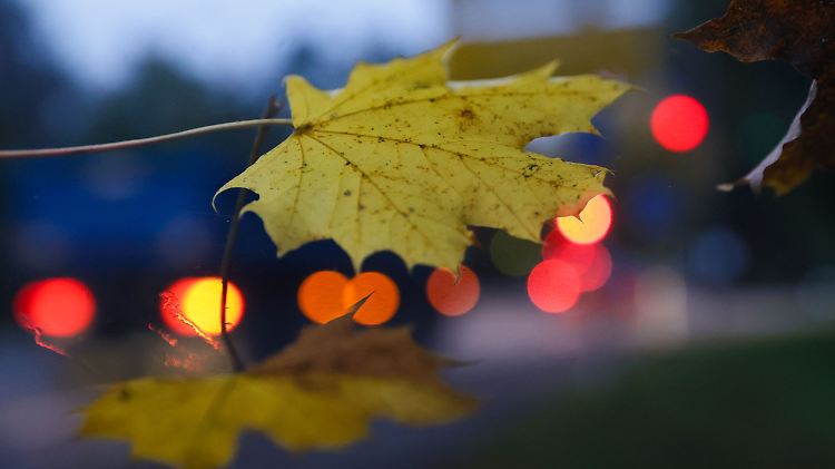 Nacht zum Mittwoch: Regen im Osten, Nebel im Süden