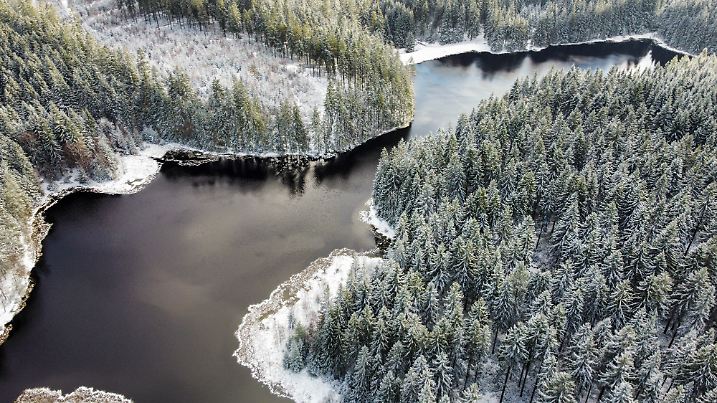 Schnee und Frost in einer bewaldeten Berglandschaft