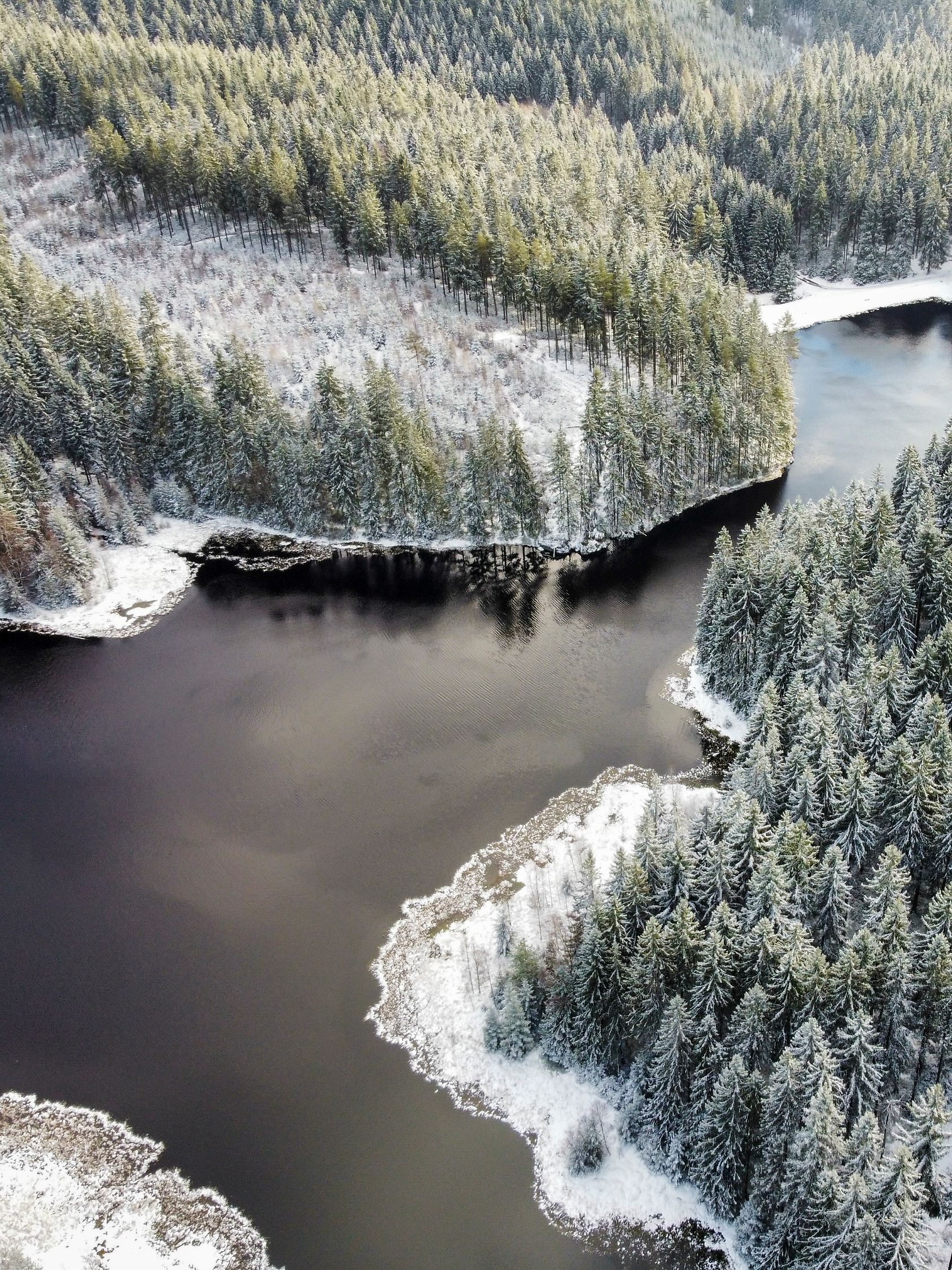 Schnee und Frost in einer bewaldeten Berglandschaft